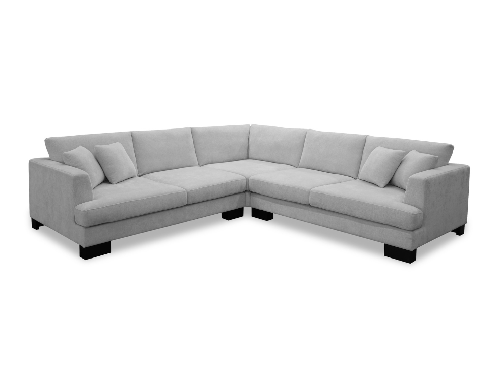 fifty shades sectional sofa on a white background