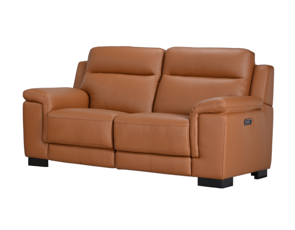 Barclay 2 Seater Electric Recliner Lounge – 100% Luxury Leather with USB Ports - 